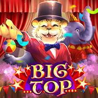 SMG_bigTope90e