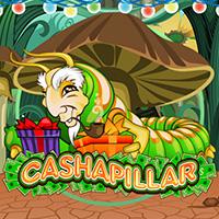 SMG_cashapillare90e
