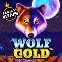 vs25wolfgolde90e