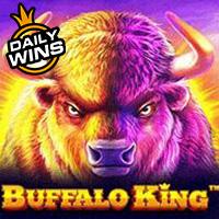 vs4096bufkinge90e